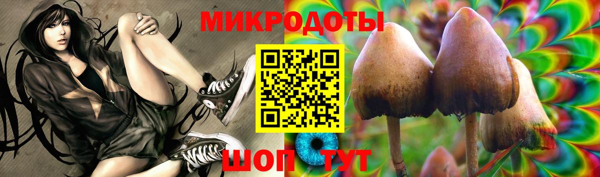Псилоцибиновые грибы Psilocybe Моздок