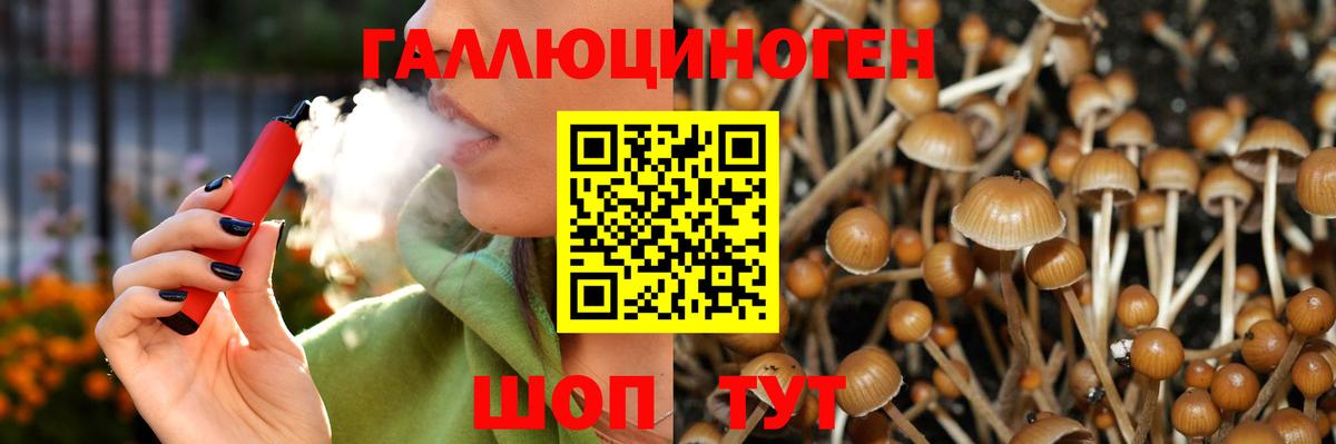 Галлюциногенные грибы прущие грибы  Псилоцибиновые грибы Magic Shrooms  Моздок  где найти наркотики  Вход с VPN 